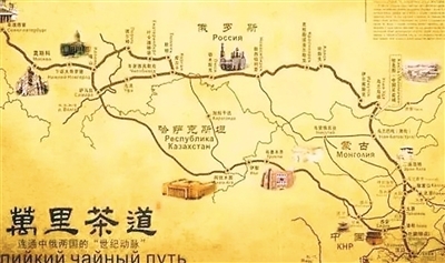 茶文化博士后用大数据+全球视野为你全面解密 为什么越来越多的人开始饮茶了