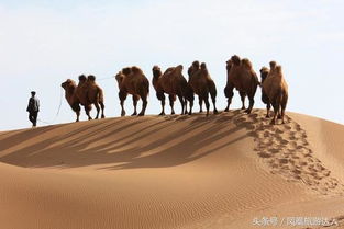 丝绸之路 传播正能量 致敬前人