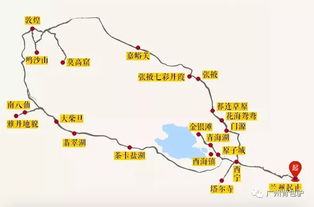 寻梦大西北,沐浴金色花海,行走丝绸之路