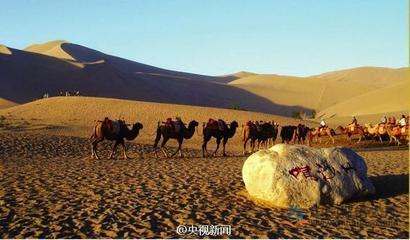丝绸产业分析_丝绸之路成功申遗 是中国首个跨国申报项目_中国报告大厅手机版