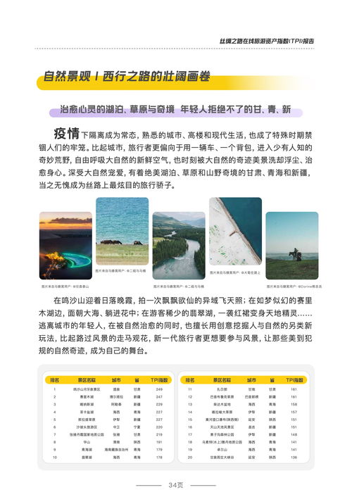 中国旅游研究院 马蜂窝 2021年丝绸之路在线旅游资产指数 tpi 报告