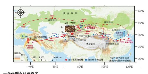 五千年前的超级干旱,改变了古丝绸之路走向