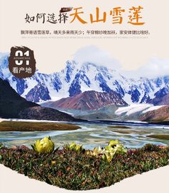 初食特产文化 重走古 丝绸之路 ,邂逅创新文城西宁