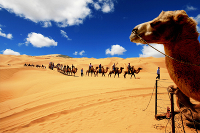 丝绸之路9天8夜亲子游学 八百里路云和月,阵阵驼铃声,我们在路上